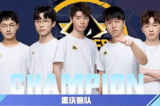 修复输入延